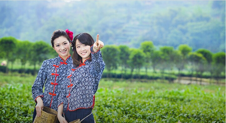 日本老人采樹(shù)葉賺53萬(wàn) 是天價(jià)葉子還是天價(jià)商機(jī)？