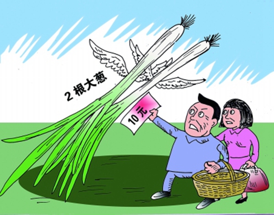 高價(jià)蔥提升成本，菜品價(jià)到底漲不漲愁壞老板