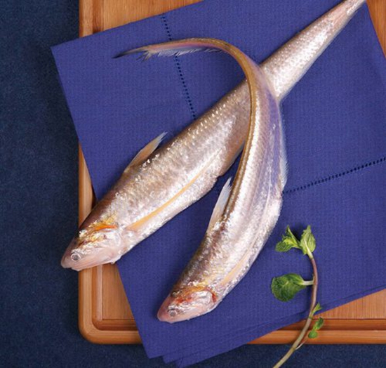 長(zhǎng)江刀魚(yú)面臨禁捕危機(jī)，價(jià)格暴漲達(dá)4000元一斤