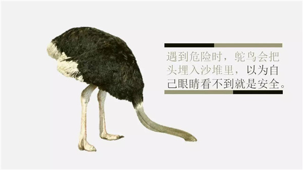 這6個詞，你誤解了任何一個，都能讓你錯過“風口”