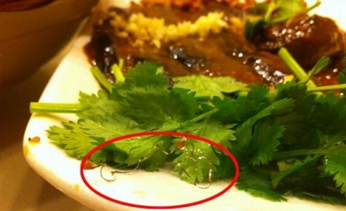 食客在餐廳吃到鋼絲，餐廳被判賠償食客206萬，并罰款686萬