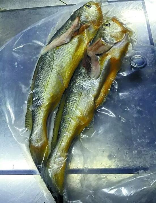 兩條小黃魚賣4628元：沒有菜牌，也沒有價(jià)格公示