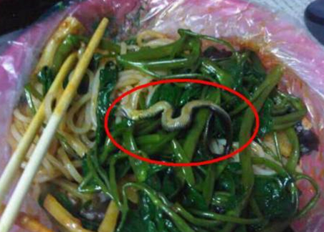震驚！廣西大學(xué)一螺螄粉店竟然吃出一條蛇！真相是？