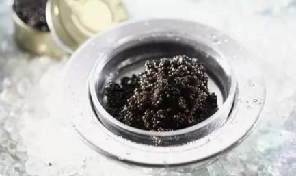 魚子醬到底有多少種？餐飲人快來辨別一下
