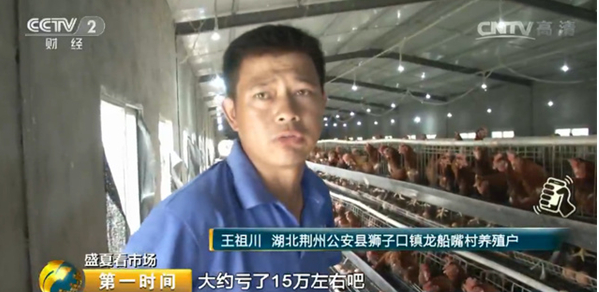 雞蛋價(jià)格跌跌不休！最低腰斬一半