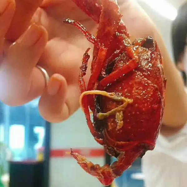 帝都當紅小龍蝦測評：誰家的“麻小”在說謊？|餐飲界
