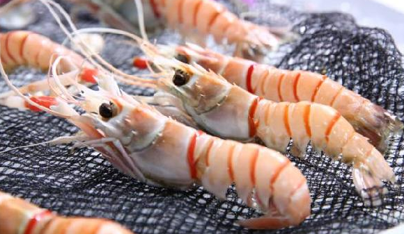進口食品需求每年遞增15%，餐飲人卻還是找不到渠道？