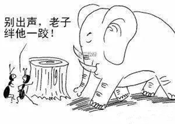 火鍋老板必看：與巴奴共舞的3個(gè)戰(zhàn)略機(jī)會！