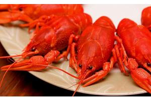2017美食消費(fèi)報(bào)告：90后成消費(fèi)主體、消費(fèi)者最?lèi)?ài)小龍蝦、6成消費(fèi)者習(xí)慣吃宵夜|餐飲界