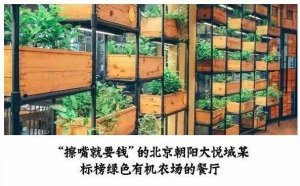 但凡說紙巾要2元的餐廳，我不會去第二次！|餐飲界