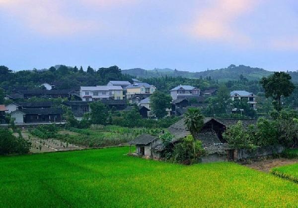 城市水太深，回鄉(xiāng)開餐廳？看完這篇你再做決定……