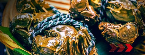 “秋風(fēng)響，蟹腳癢”，順豐同城急送推出大閘蟹專送服務(wù)