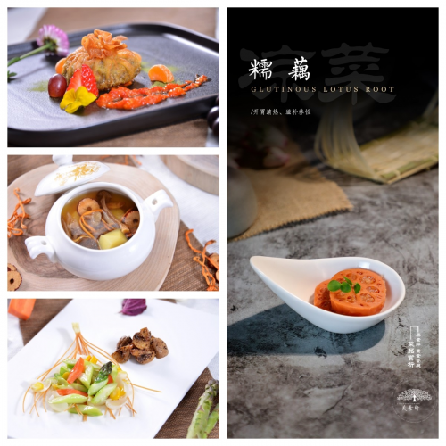素食革命：如何通過純素飲食打造健康身體？美素軒為你揭秘|餐飲界