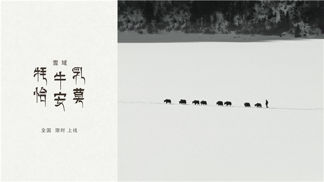 源自3500米高原牧場，喜茶西藏限定「雪域·牦牛乳恰安莫」限時(shí)全國上新