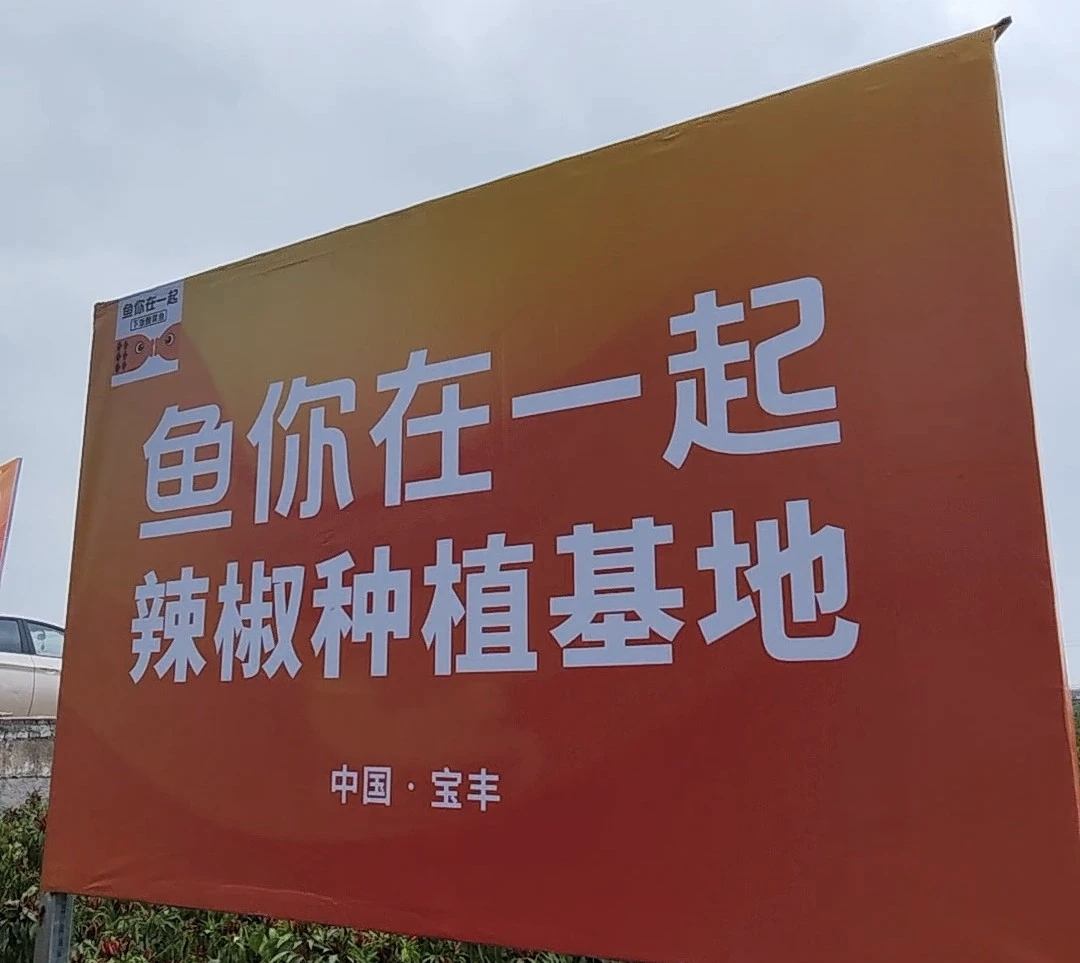 魚(yú)你在一起榮獲兩項(xiàng)大獎(jiǎng)，展現(xiàn)新質(zhì)生產(chǎn)力下的雇主品牌變革|餐飲界